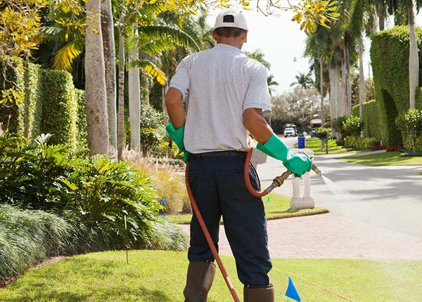 About Tripoli WI Pest Control
